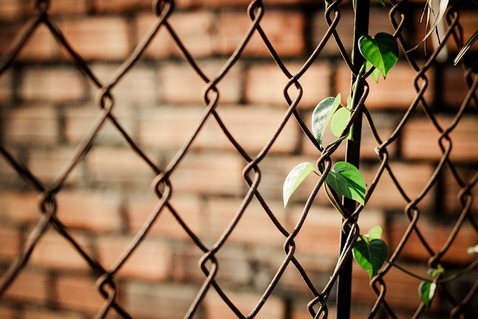 chain link fence maintenance